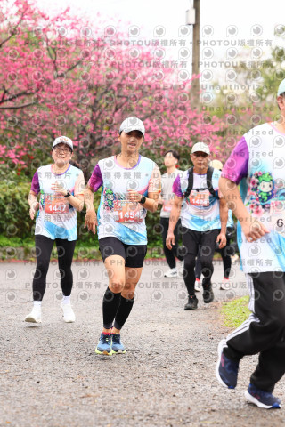 2026左岸竹東櫻花馬拉松Zhudong Sakura Marathon