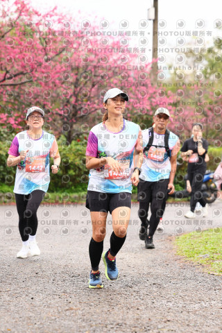 2026左岸竹東櫻花馬拉松Zhudong Sakura Marathon