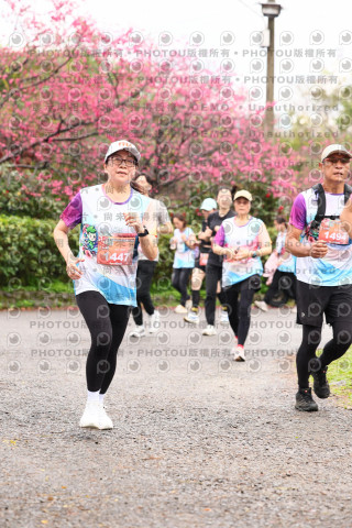 2026左岸竹東櫻花馬拉松Zhudong Sakura Marathon