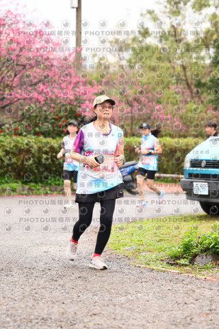2026左岸竹東櫻花馬拉松Zhudong Sakura Marathon
