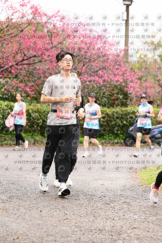 2026左岸竹東櫻花馬拉松Zhudong Sakura Marathon