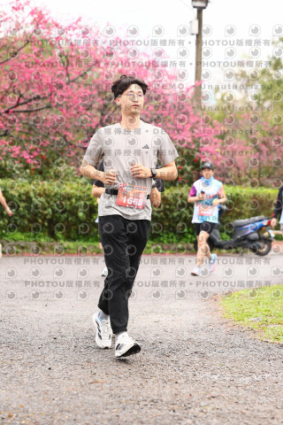 2026左岸竹東櫻花馬拉松Zhudong Sakura Marathon