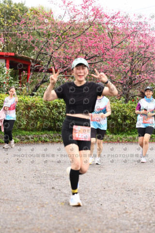 2026左岸竹東櫻花馬拉松Zhudong Sakura Marathon
