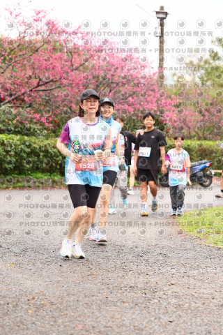 2026左岸竹東櫻花馬拉松Zhudong Sakura Marathon
