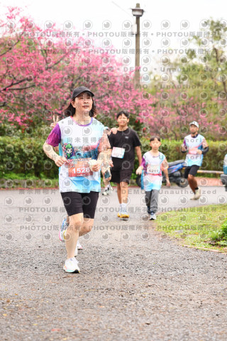 2026左岸竹東櫻花馬拉松Zhudong Sakura Marathon