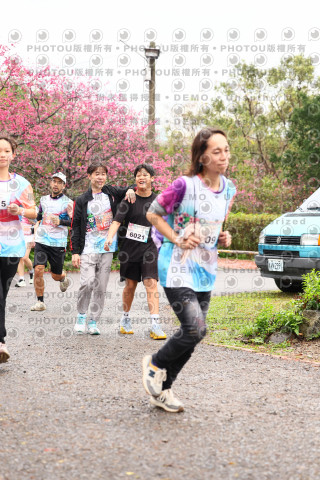 2026左岸竹東櫻花馬拉松Zhudong Sakura Marathon