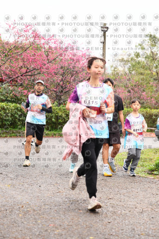 2026左岸竹東櫻花馬拉松Zhudong Sakura Marathon