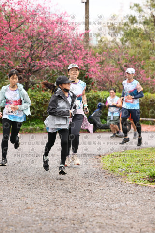 2026左岸竹東櫻花馬拉松Zhudong Sakura Marathon