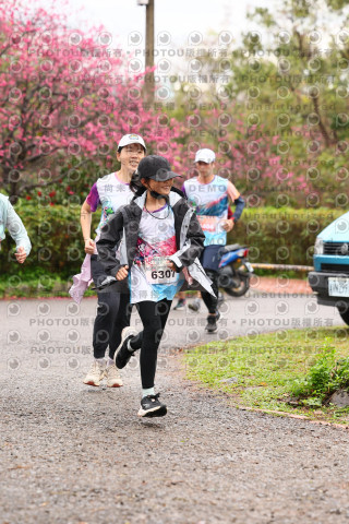 2026左岸竹東櫻花馬拉松Zhudong Sakura Marathon