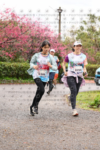 2026左岸竹東櫻花馬拉松Zhudong Sakura Marathon