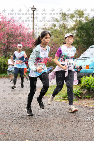 2026左岸竹東櫻花馬拉松Zhudong Sakura Marathon