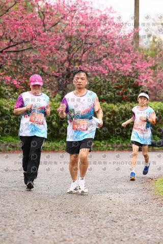 2026左岸竹東櫻花馬拉松Zhudong Sakura Marathon