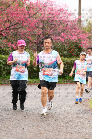 2026左岸竹東櫻花馬拉松Zhudong Sakura Marathon