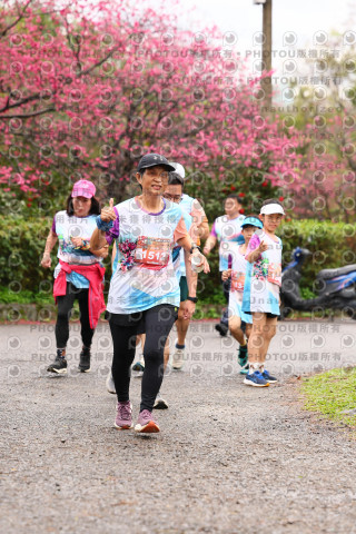 2026左岸竹東櫻花馬拉松Zhudong Sakura Marathon