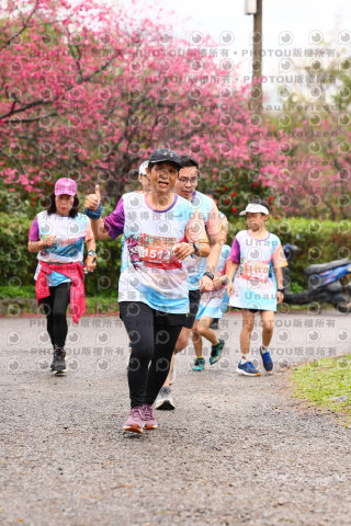 2026左岸竹東櫻花馬拉松Zhudong Sakura Marathon