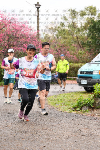 2026左岸竹東櫻花馬拉松Zhudong Sakura Marathon