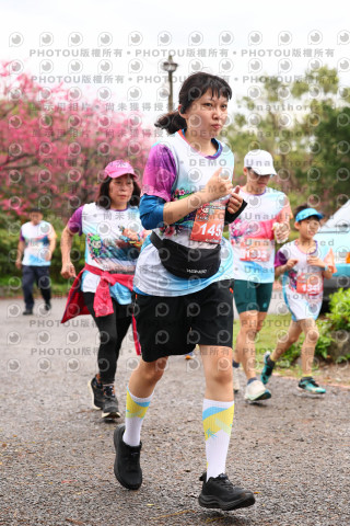 2026左岸竹東櫻花馬拉松Zhudong Sakura Marathon