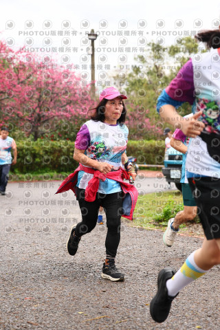 2026左岸竹東櫻花馬拉松Zhudong Sakura Marathon