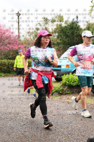 2026左岸竹東櫻花馬拉松Zhudong Sakura Marathon