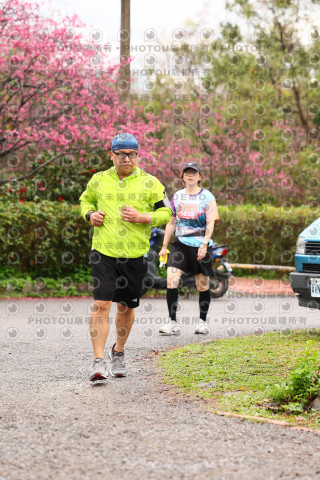 2026左岸竹東櫻花馬拉松Zhudong Sakura Marathon