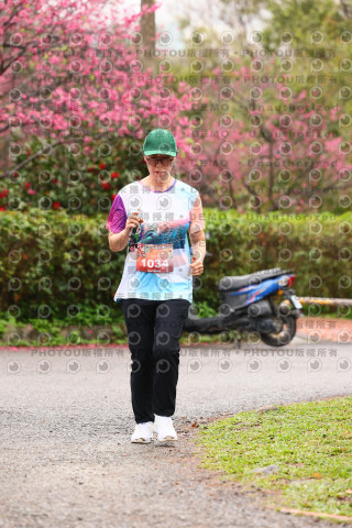 2026左岸竹東櫻花馬拉松Zhudong Sakura Marathon