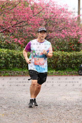 2026左岸竹東櫻花馬拉松Zhudong Sakura Marathon