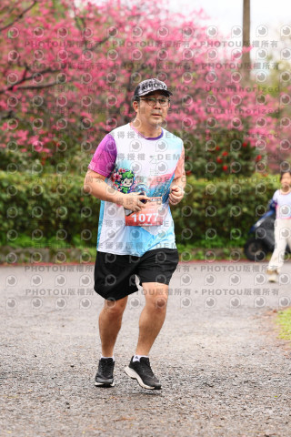 2026左岸竹東櫻花馬拉松Zhudong Sakura Marathon