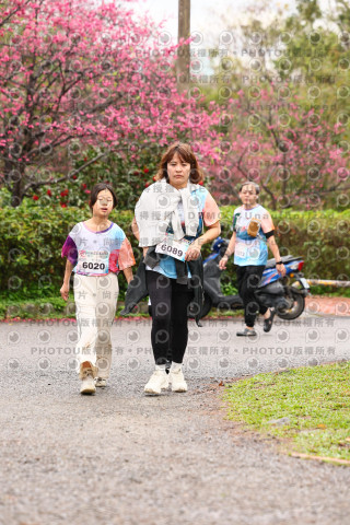 2026左岸竹東櫻花馬拉松Zhudong Sakura Marathon
