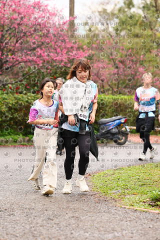 2026左岸竹東櫻花馬拉松Zhudong Sakura Marathon