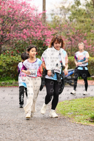 2026左岸竹東櫻花馬拉松Zhudong Sakura Marathon
