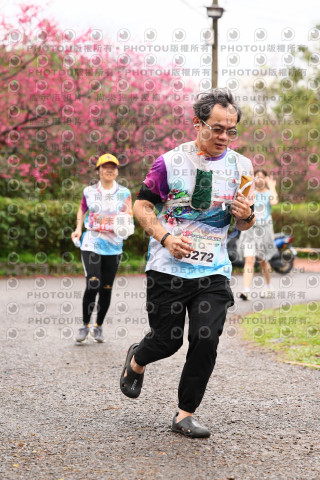 2026左岸竹東櫻花馬拉松Zhudong Sakura Marathon