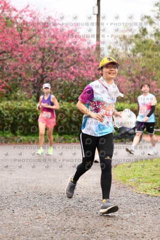 2026左岸竹東櫻花馬拉松Zhudong Sakura Marathon