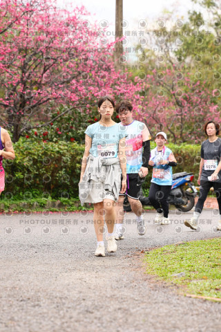 2026左岸竹東櫻花馬拉松Zhudong Sakura Marathon