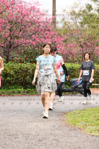 2026左岸竹東櫻花馬拉松Zhudong Sakura Marathon