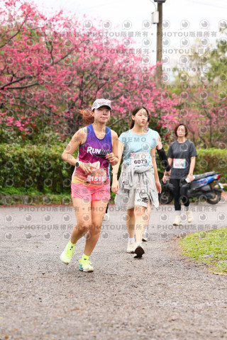 2026左岸竹東櫻花馬拉松Zhudong Sakura Marathon