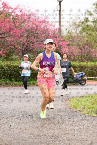 2026左岸竹東櫻花馬拉松Zhudong Sakura Marathon