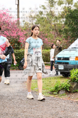2026左岸竹東櫻花馬拉松Zhudong Sakura Marathon