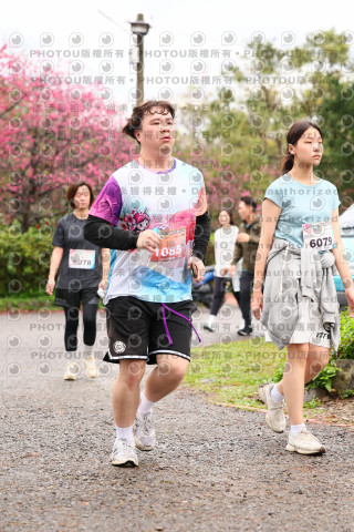 2026左岸竹東櫻花馬拉松Zhudong Sakura Marathon