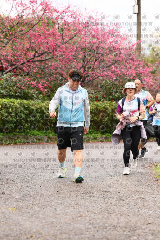 2026左岸竹東櫻花馬拉松Zhudong Sakura Marathon