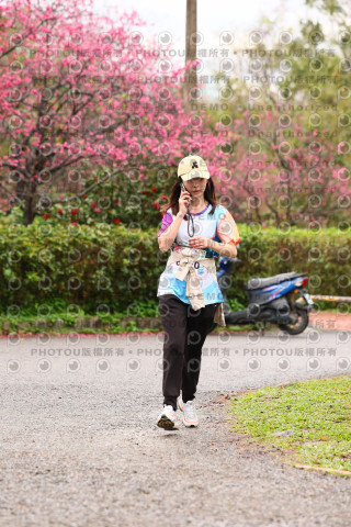 2026左岸竹東櫻花馬拉松Zhudong Sakura Marathon