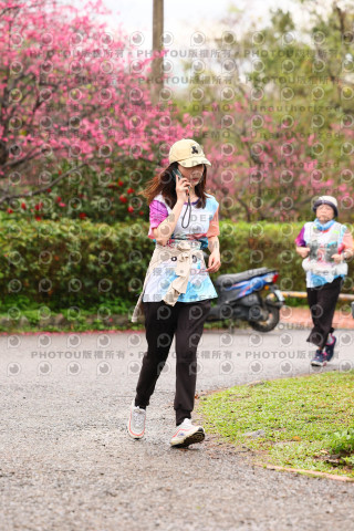2026左岸竹東櫻花馬拉松Zhudong Sakura Marathon