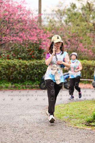 2026左岸竹東櫻花馬拉松Zhudong Sakura Marathon