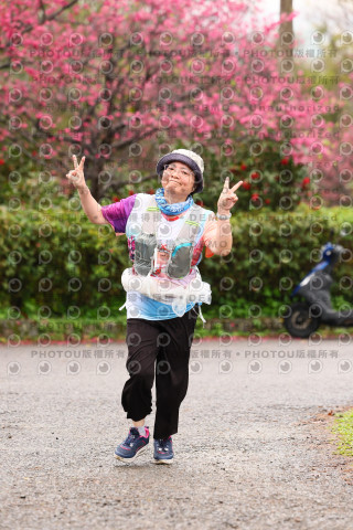 2026左岸竹東櫻花馬拉松Zhudong Sakura Marathon