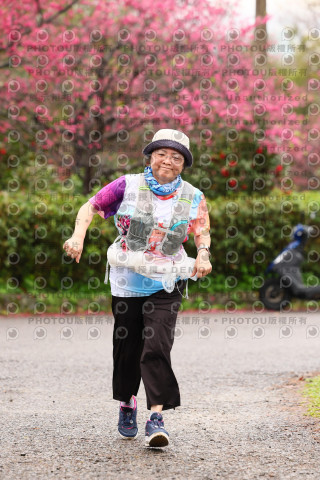 2026左岸竹東櫻花馬拉松Zhudong Sakura Marathon