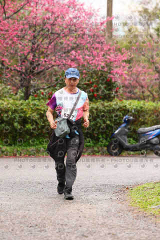 2026左岸竹東櫻花馬拉松Zhudong Sakura Marathon