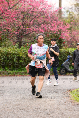 2026左岸竹東櫻花馬拉松Zhudong Sakura Marathon