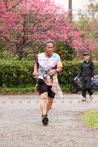 2026左岸竹東櫻花馬拉松Zhudong Sakura Marathon