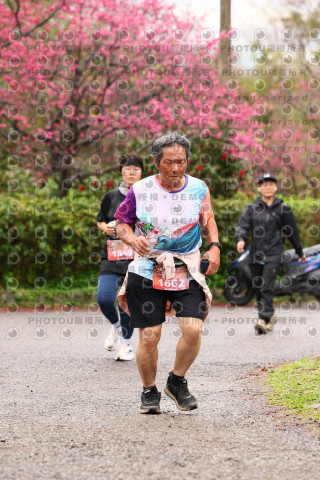 2026左岸竹東櫻花馬拉松Zhudong Sakura Marathon