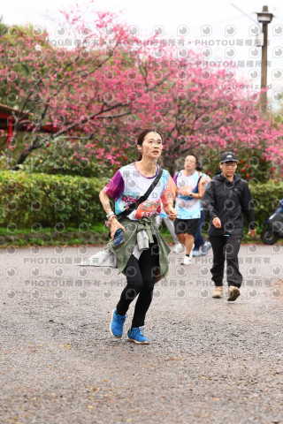 2026左岸竹東櫻花馬拉松Zhudong Sakura Marathon