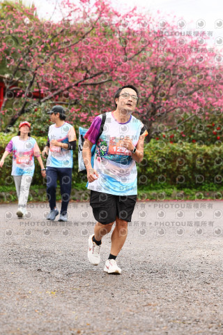 2026左岸竹東櫻花馬拉松Zhudong Sakura Marathon